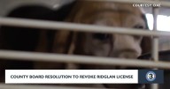 Dane County resolution targets beagle breeder amid animal abuse concerns