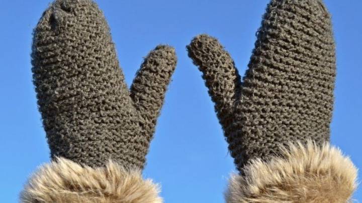 Bernie Sanders's Mittens Sworn in as President of the United States