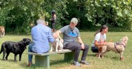 Wyman Park dog haven faces uncertain future