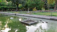 El PSOE denuncia la «grave precariedad» en el mantenimiento de parques y jardines de Sevilla