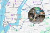 People Are Going On Guided Rat and Garbage Tours in New York