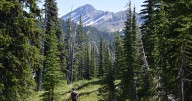 Forest Service chief reaffirms efforts to boost timber, energy production on federal lands