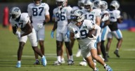 Vikings bring back veteran Thielen for WR depth in trade with Panthers, AP source says
