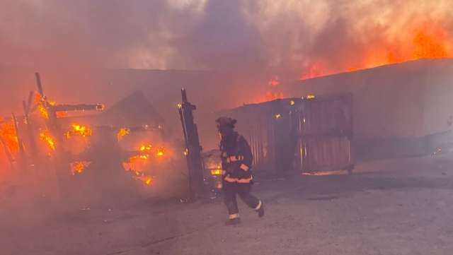 Several livestock dead after fire engulfs outbuildings near Tracy