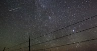 Skywatching tips for Perseid meteor shower in LA: 'I wail all day for the shooting stars I miss'
