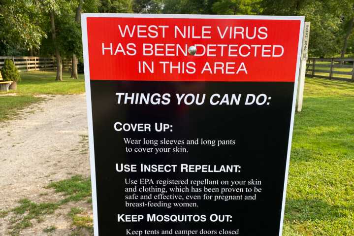 DC Health urges residents to take precautions after several birds test positive for West Nile virus