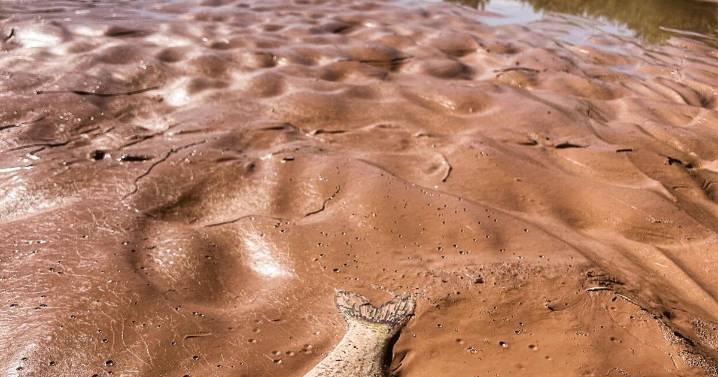 Health officials urge safety as dangerous heat hits New Mexico