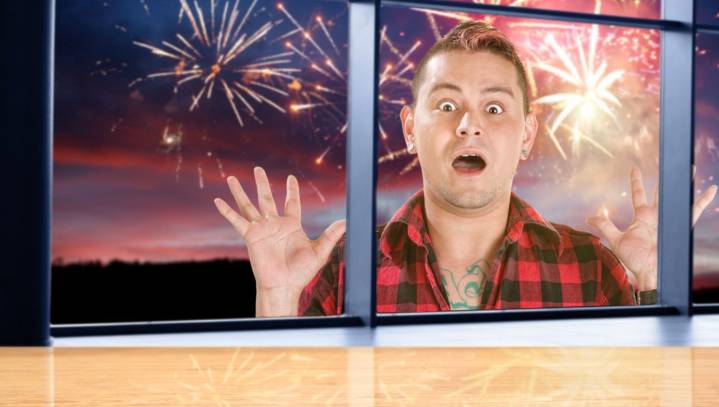 PSA: If You Own Any Libs, Remember To Bring Them Inside And Calm Them Down During July 4 Celebrations