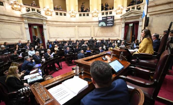 El Senado debate el Financiamiento Universitario y la Emergencia Pediátrica