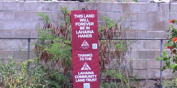 Community land trust partners with local businesses to ‘keep Lahaina lands in Lahaina hands’