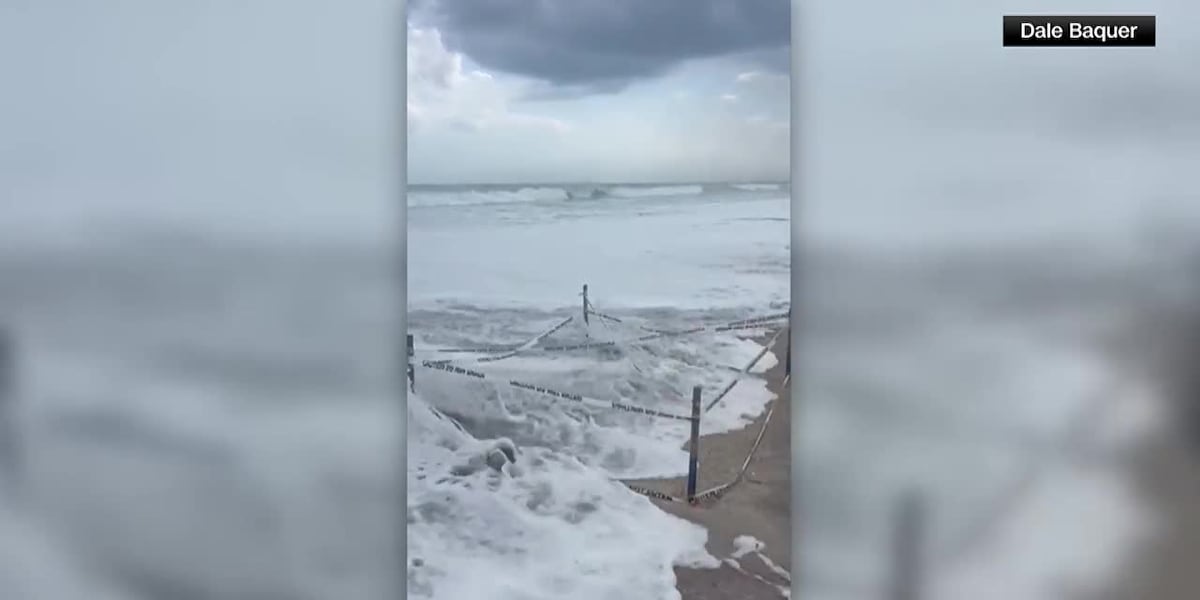 Sea turtle nests washed away in North Carolina due to Hurricane Erin