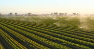 Imperial County Farm Bureau Gala to honor agriculture’s best