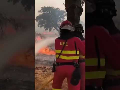 Spain, Portugal Wildfires Spread as Extreme Conditions Linger #weather