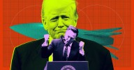 Trump Rips Up Environmental Rules Protecting Wildlife From Destructive Rocket Launches
