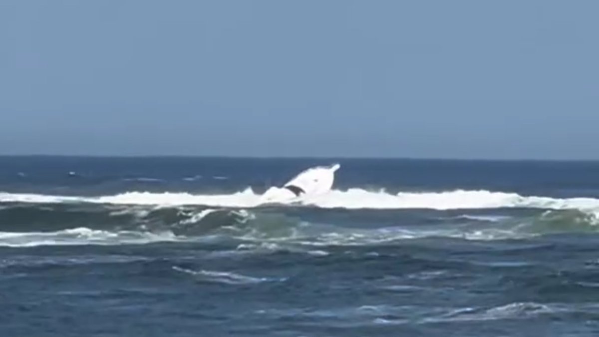 Salisbury Beach water rescue underway