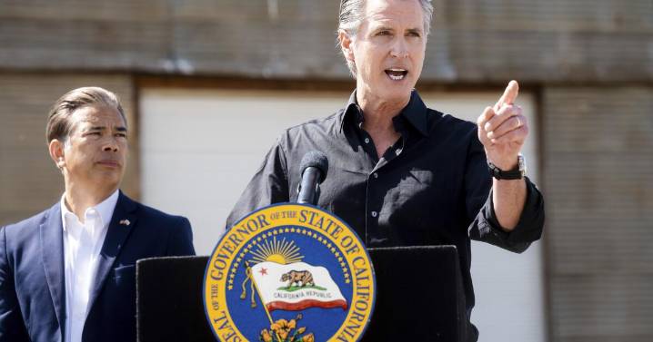 Commentary: Newsom vows Texas will be 'neutered' by California. Will voters let him do it?