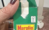 Advertencia de la ANMAT sobre un lote de tomates triturados: qué son los gusanos microstomum sp.