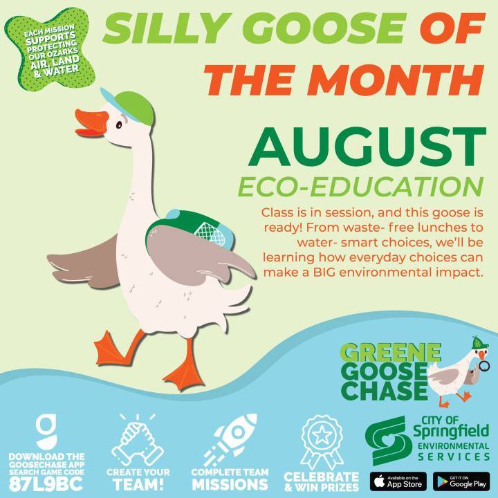 Springfield launches August Greene Goosechase challenges