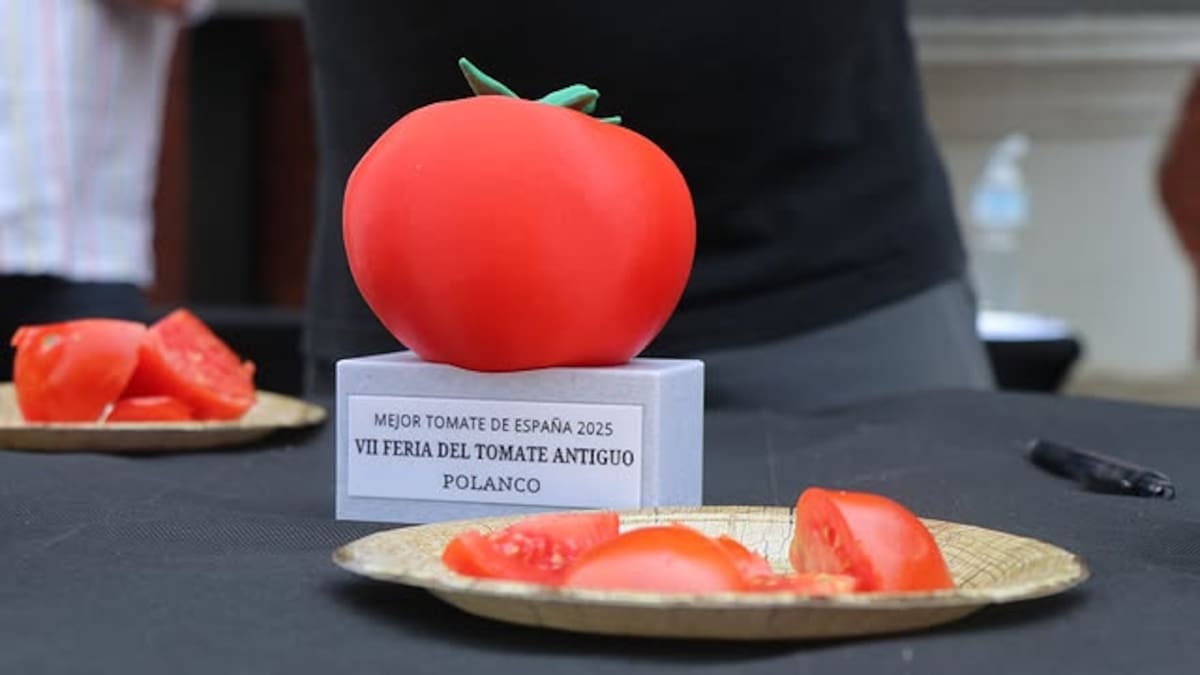 Una variedad aragonesa arrasa en la Feria del Tomate Antiguo de Polanco