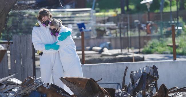 Telluride: Ondi Timoner's Altadena Fire Short All the Walls Came Down