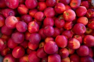 Oregon Heritage Farms closes after 28 years