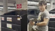 20-foot python found in DTLA dumpster