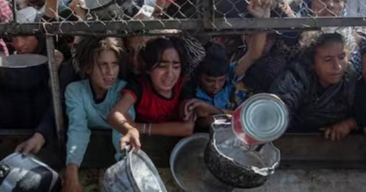 Franja de Gaza registra 11 muertes por hambre y desnutrición en medio del conflicto con Israel