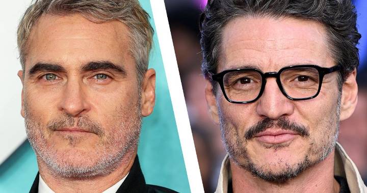 Pedro Pascal May Save Todd Haynes Movie From Joaquin Phoenix