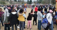 Cientos de niños participaron del festejo por su día en el Parque San Martin