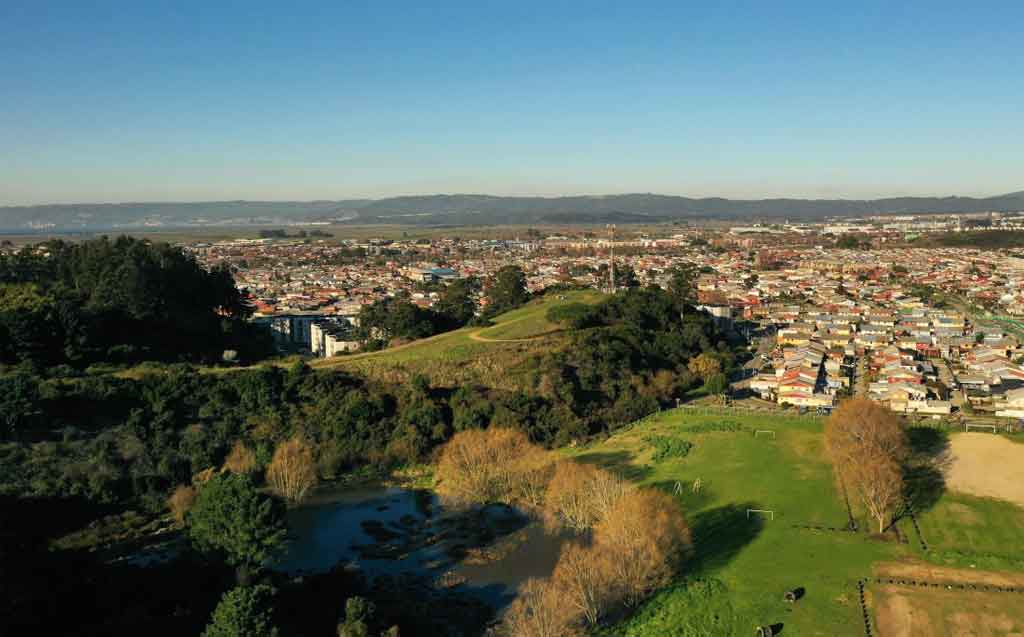 Declaran nuevo humedal urbano en el sur de Chile (+Foto)