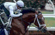 Journalism’s story gains new drama in Pacific Classic at Del Mar