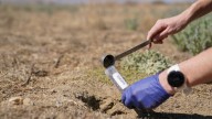 Valley fever cases rising in California, CDPH warns