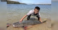 California kid reels in 63-pound white sea bass, possibly breaking world record
