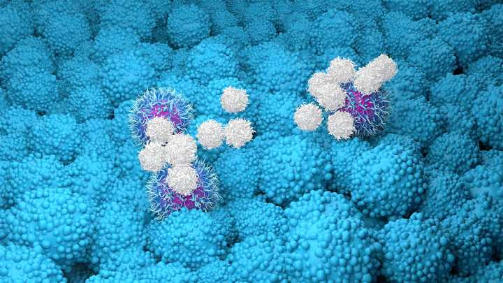 Novel Vaccine Shows Promise in Pancreatic Cancer