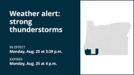 Prepare for nickel-sized hail with thunderstorms Monday