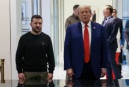 Europeos y Zelenski harán frente unido en EEUU para que la paz no sea una capitulación