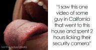 “Spent 2 Hours Licking [A] Security Camera”: 80 Wildest Scenes People Peeked Through Home Cams