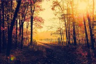 Funny Meme Sheds Light on a Good Point About Fall in Kentucky
