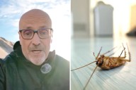 "Tremendamente sencillo". Adiós cucarachas: el remedio casero y barato que las elimina para siempre, según un veterinario