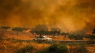 El fuego arrasa el centro y norte de Portugal: más de 5 000 bomberos combaten diez incendios graves [FOTOS]