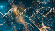 El ADN viral antiguo podría desempeñar un papel clave en el desarrollo temprano humano, sugiere nuevo estudio