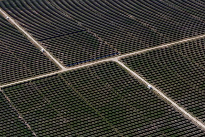 Trump administration unveils stricter subsidy rules for wind and solar projects