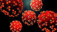 Colorado City measles cases: What to know about 9 new cases