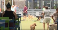 Bark Social, a dog-friendly bar in Baltimore, reopens under new ownership after abrupt closure