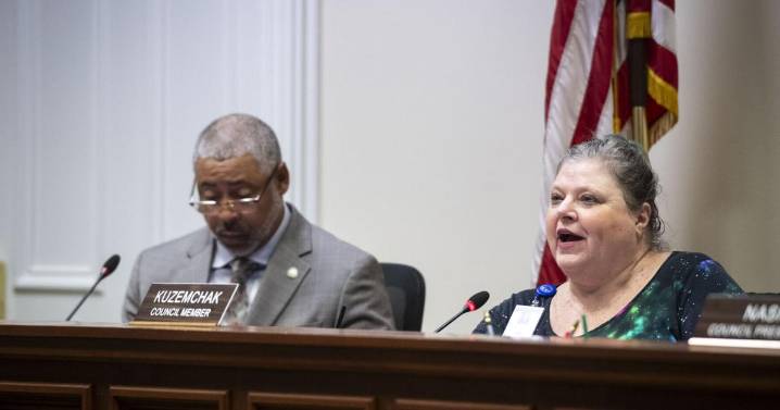 Kuzemchak's ceasefire resolution for Gaza, elsewhere fails to advance with City Council