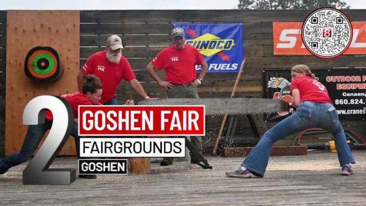 8 Things to Do This Weekend: Woodstock Fair, Goshen Fair and Puppet Fest
