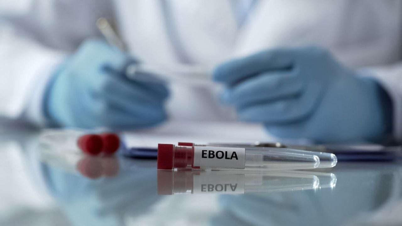 Descubren el camino para hacer el primer el antiviral de amplio espectro