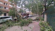Las fuertes rachas de viento movilizan a los Bomberos de Valladolid: 23 salidas por caídas de objetos y ramas