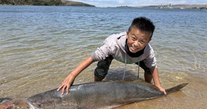 Whale of a catch: Potential record-setting 64-pound white sea bass hooked by 13