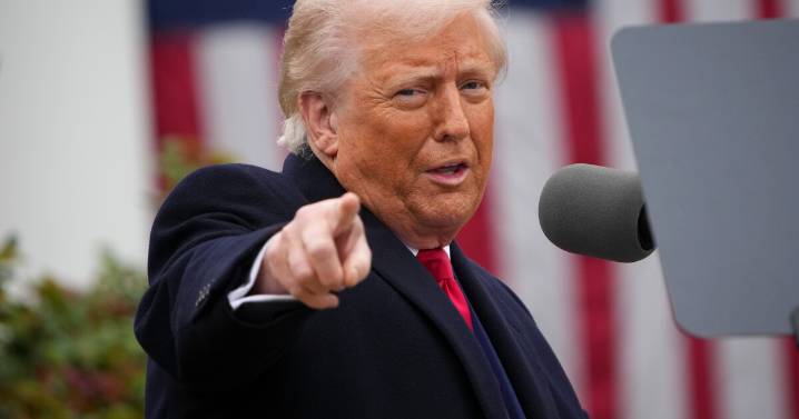 As Trump's tariffs take shape, is America really winning?